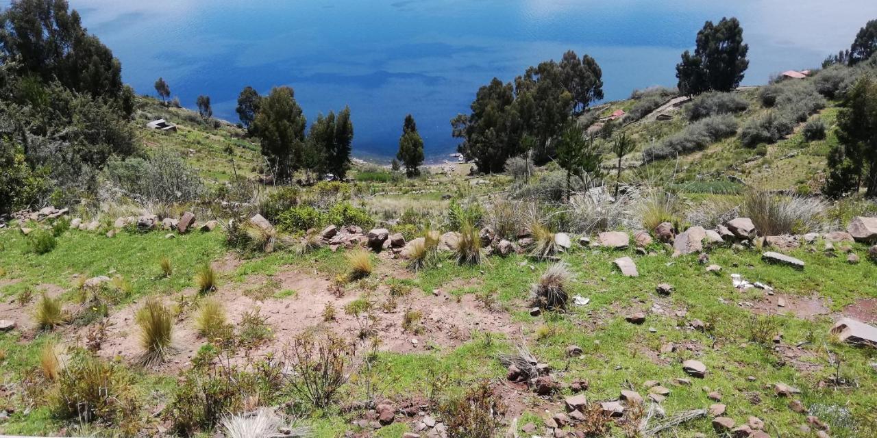 Taquile Hospedaje Mario Huillanopampa Εξωτερικό φωτογραφία