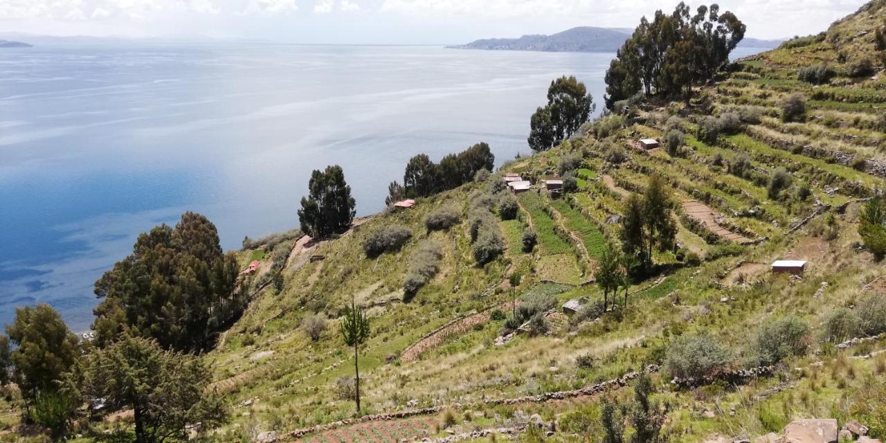 Taquile Hospedaje Mario Huillanopampa Εξωτερικό φωτογραφία