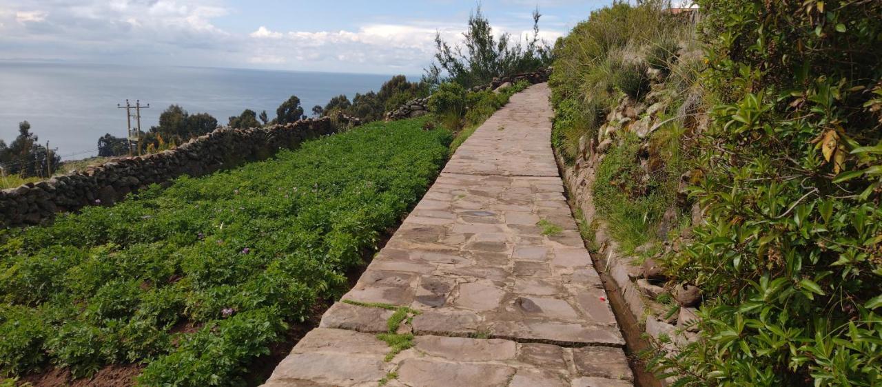 Taquile Hospedaje Mario Huillanopampa Εξωτερικό φωτογραφία